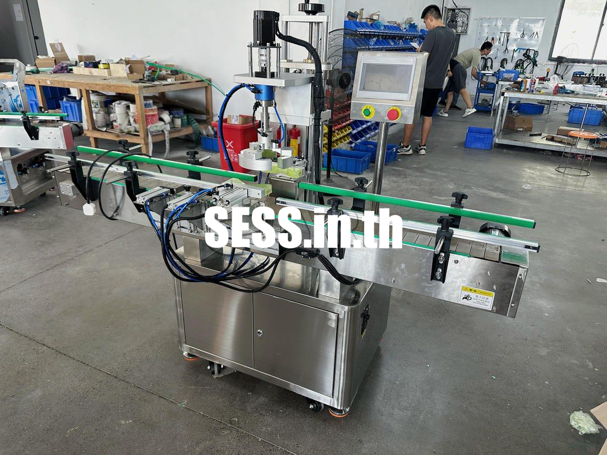 Fully automatic single head capping machine - Image 2