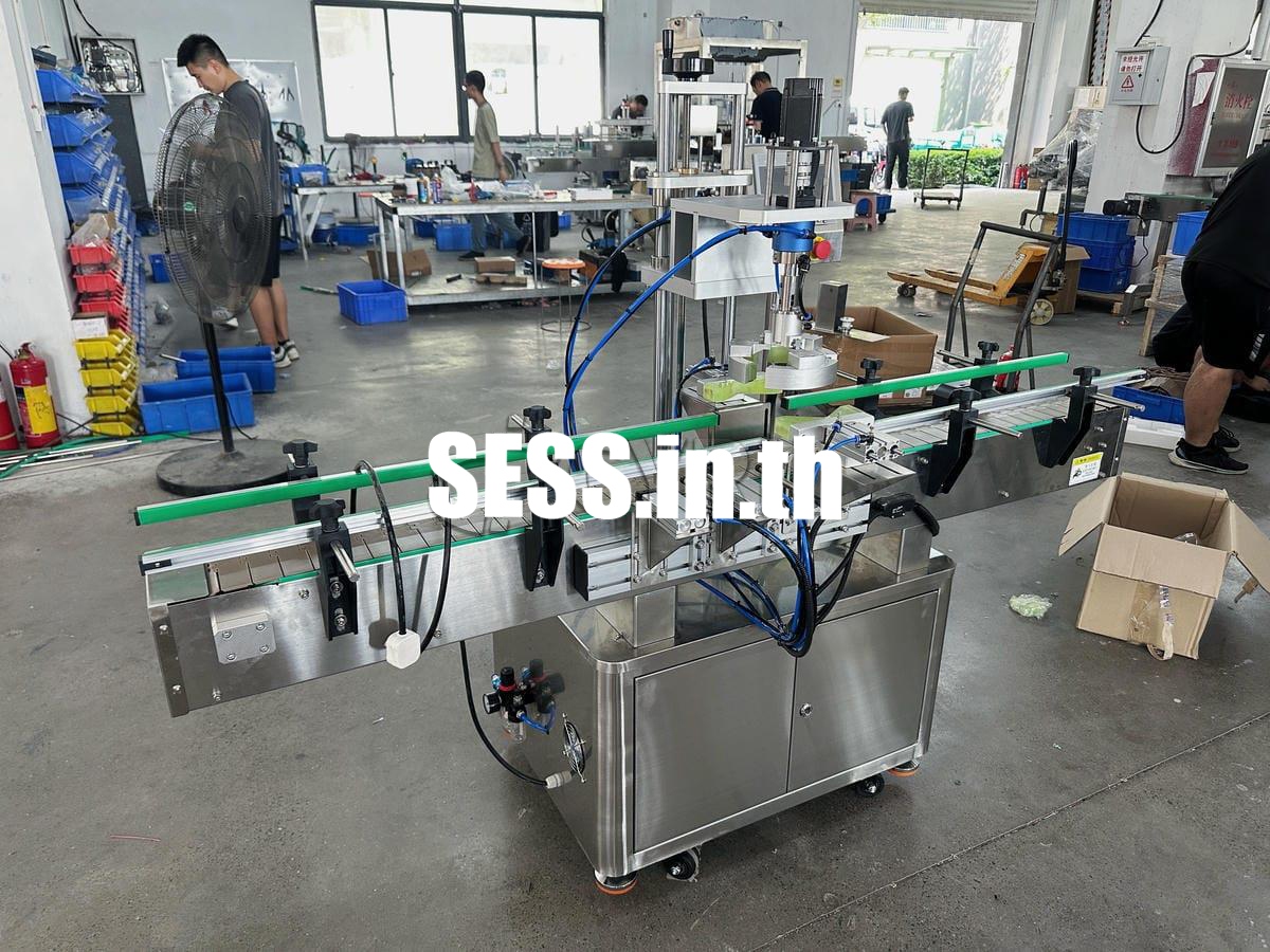 Fully automatic single head capping machine - Image 3