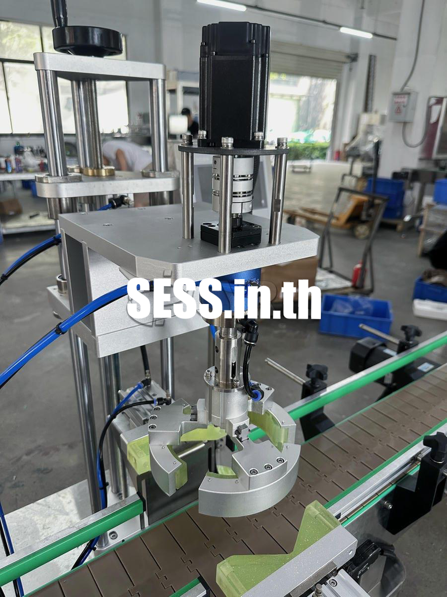 Fully automatic single head capping machine - Image 5