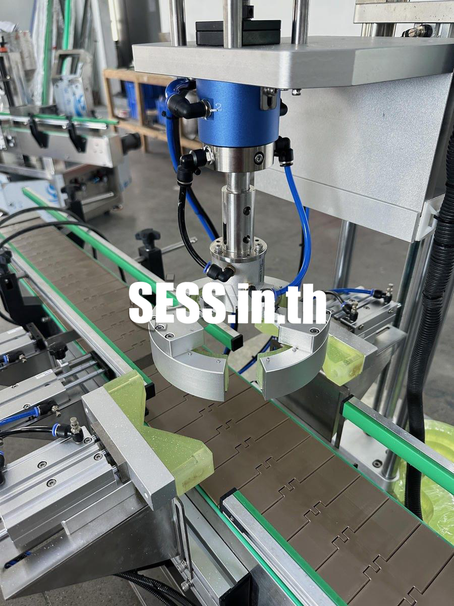 Fully automatic single head capping machine - Image 6